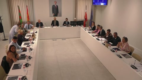 Pleno, sesión extraordinaria (nº. 07/2026), 11 de junio de 2026