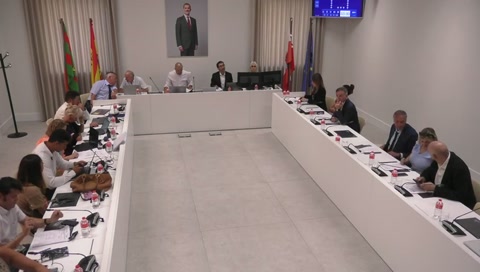 Pleno, sesión extraordinaria (nº. 08/2026), 25 de junio de 2026